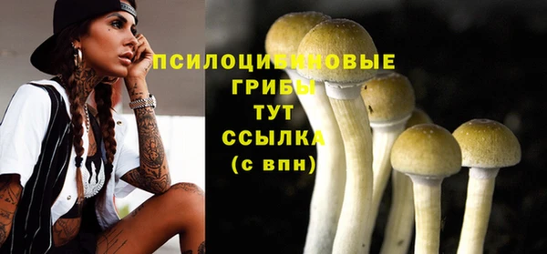 герыч Зерноград