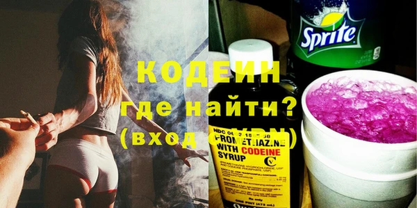 гашик Иннополис