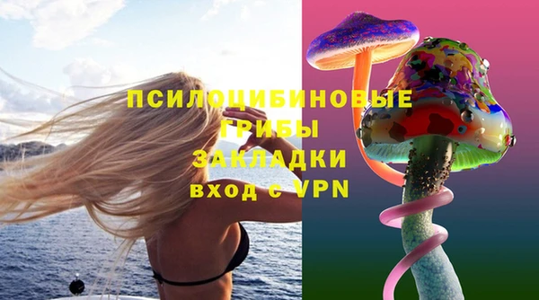 PSILOCYBIN Зеленокумск