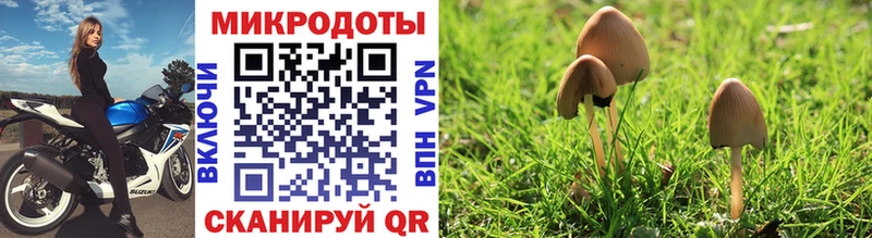 Псилоцибиновые грибы Magic Shrooms  что такое наркотик  Красновишерск 